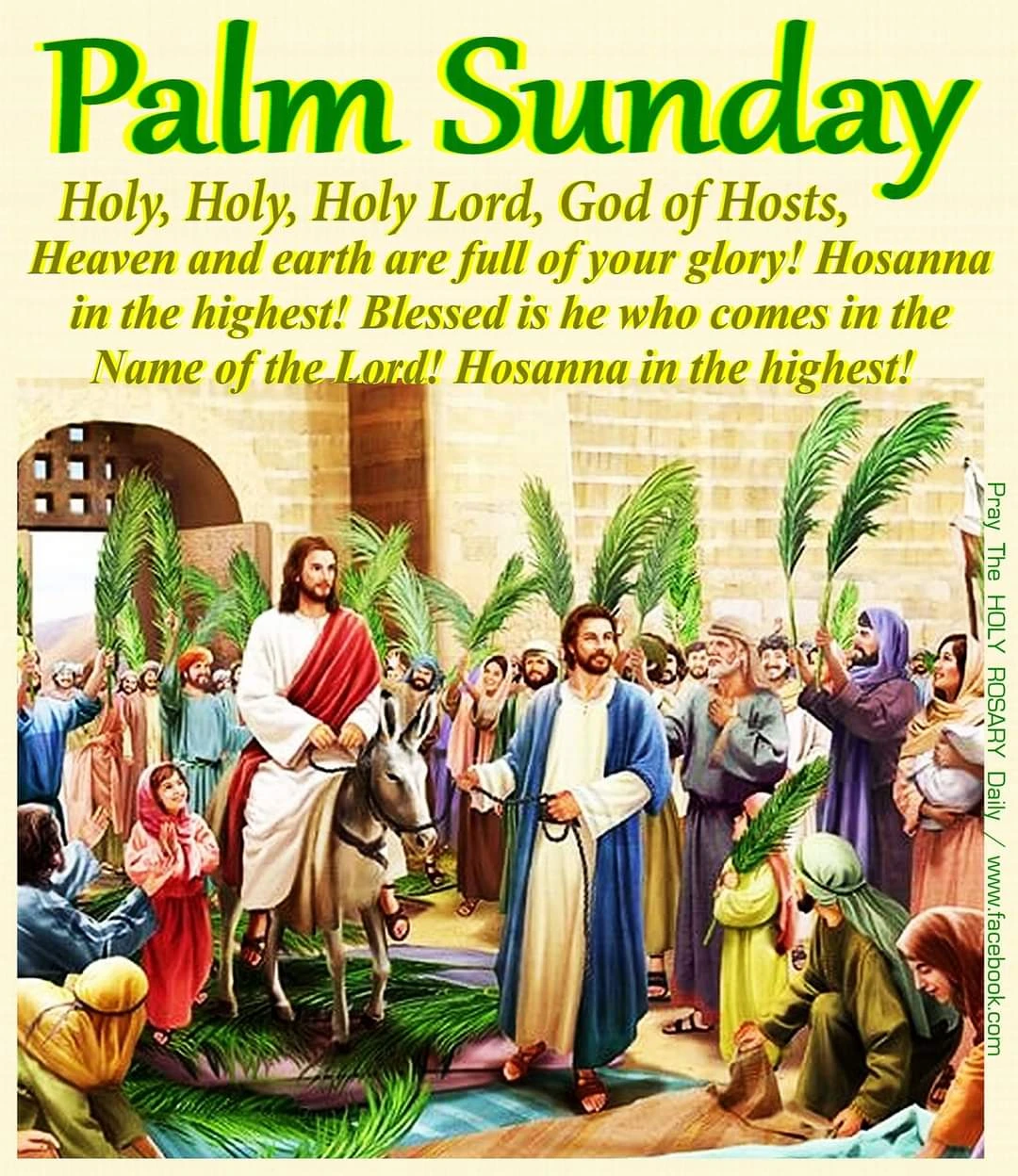 newsletter-13-april-2025-palm-sunday